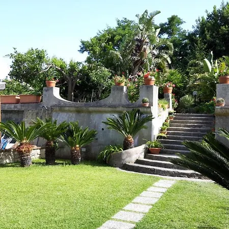 Holiday home Monolocale La Regina Strelitzia Ischia